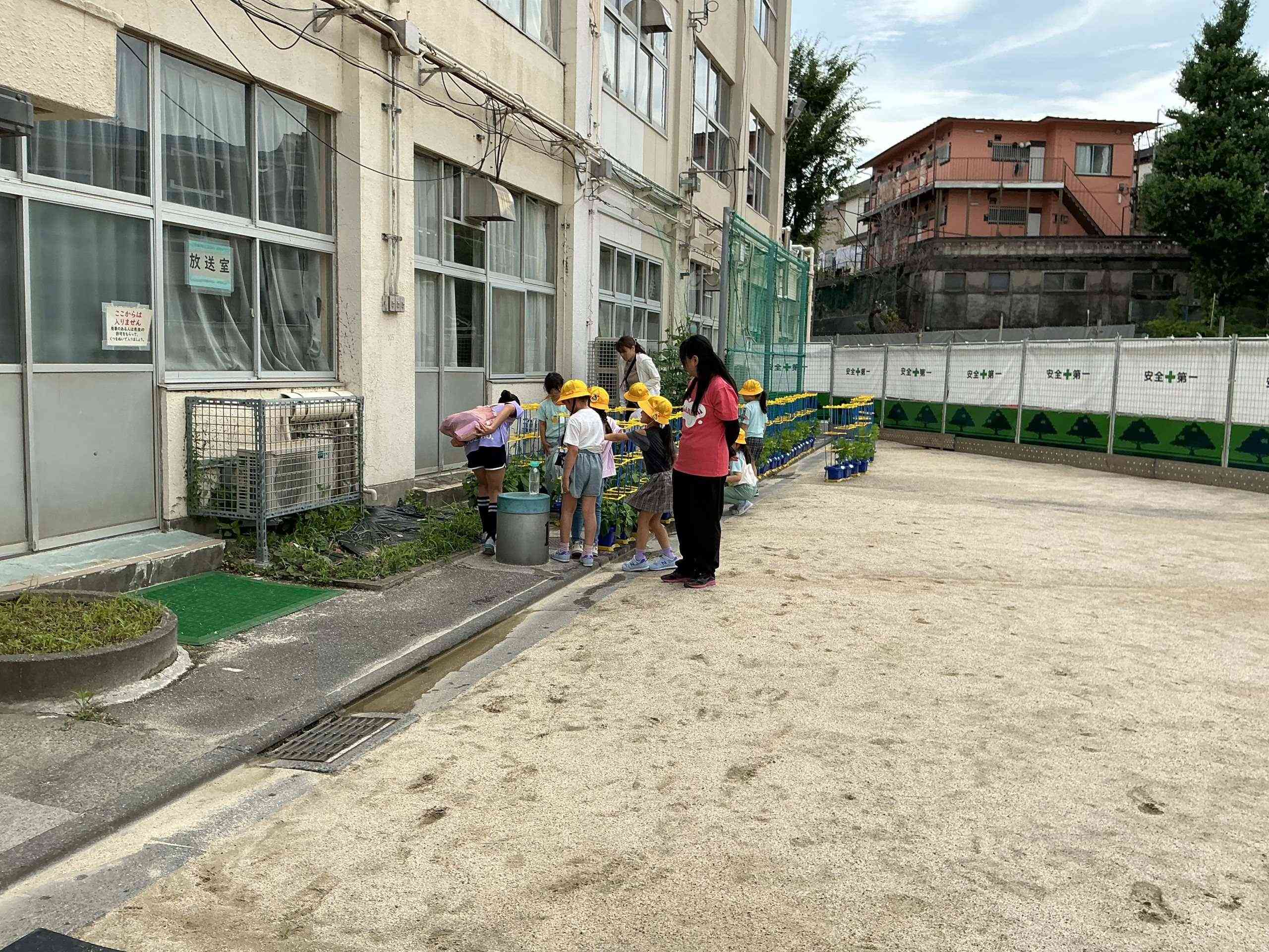 画像 -20260629-002027-7cdcc283_7282
