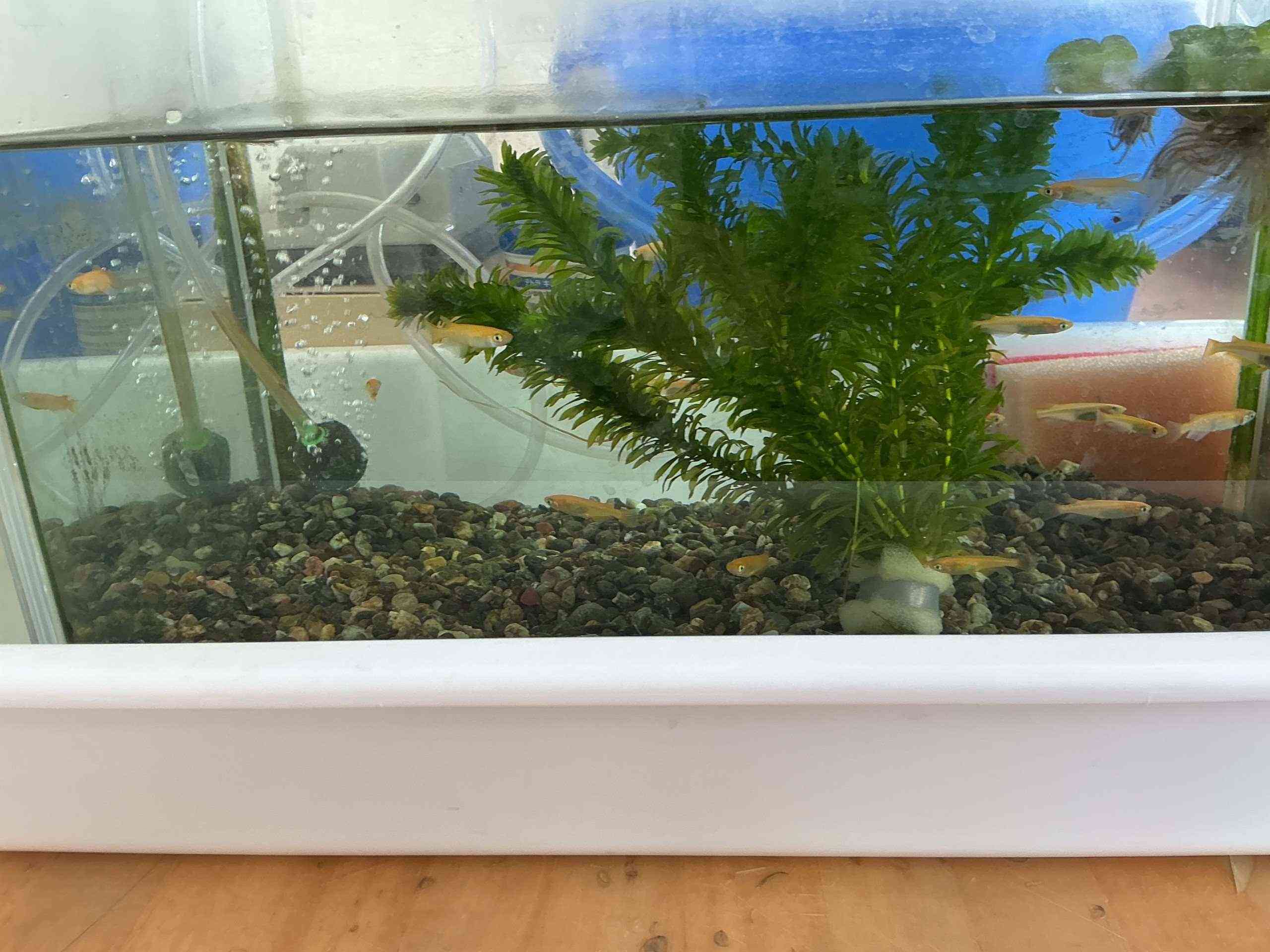 画像 -20260629-002014-16dbcc6b_8567